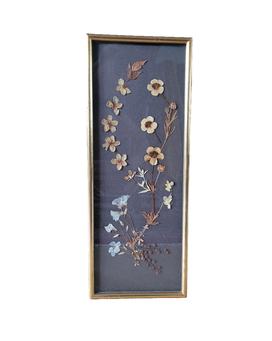 Tableau vintage composition fleurs séchées- Ref 466