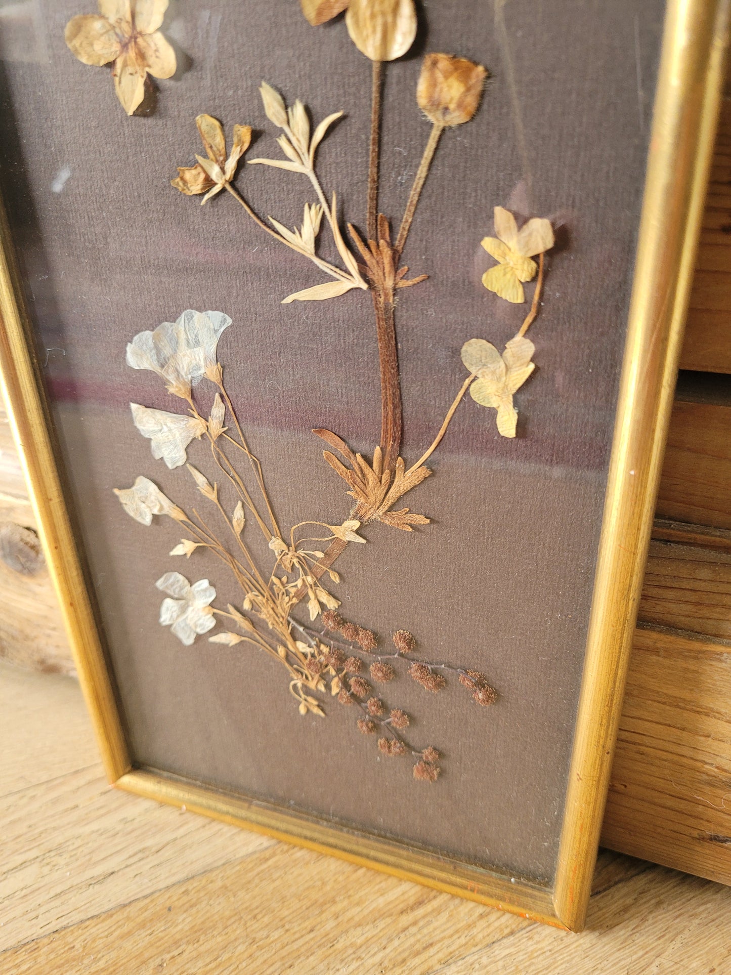 Tableau vintage composition fleurs séchées- Ref 466