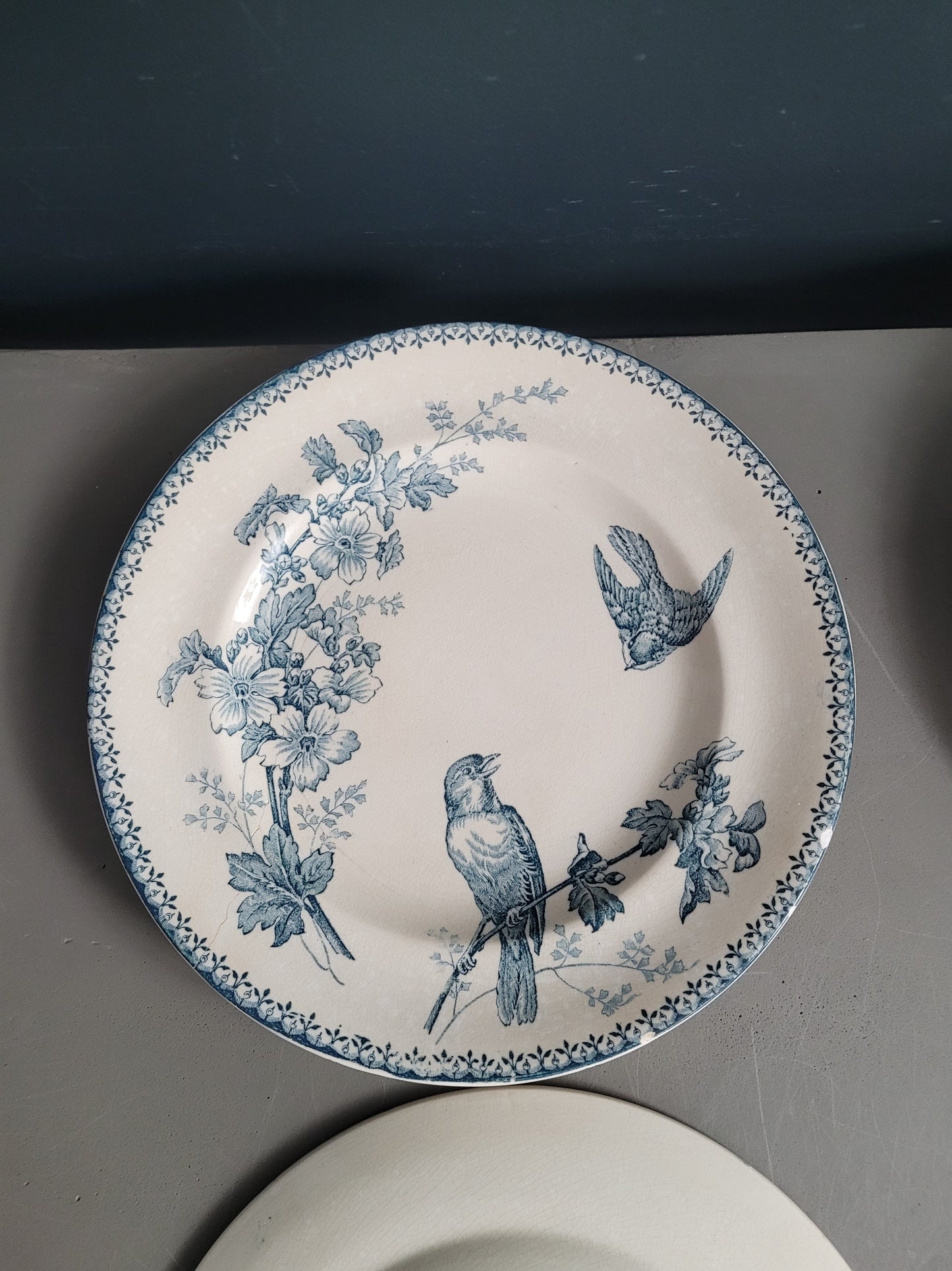 Longwy - 4 assiettes collection Mésange- Ref 545