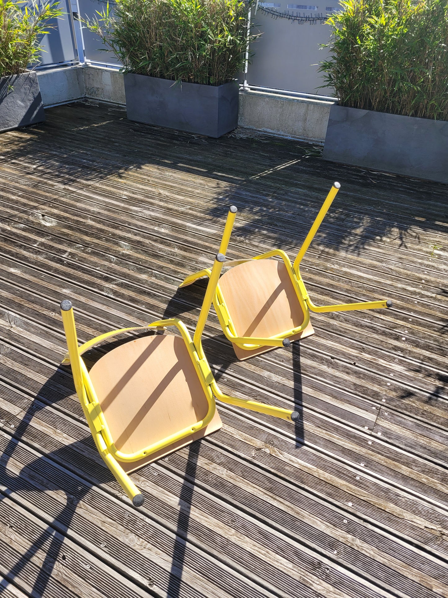 Paire de chaises jaunes en contre-plaqué- Ref 600