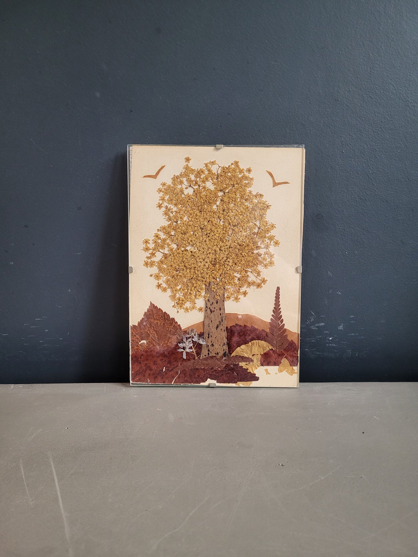 Composition florale sous verre, fleurs séchées - Ref 611