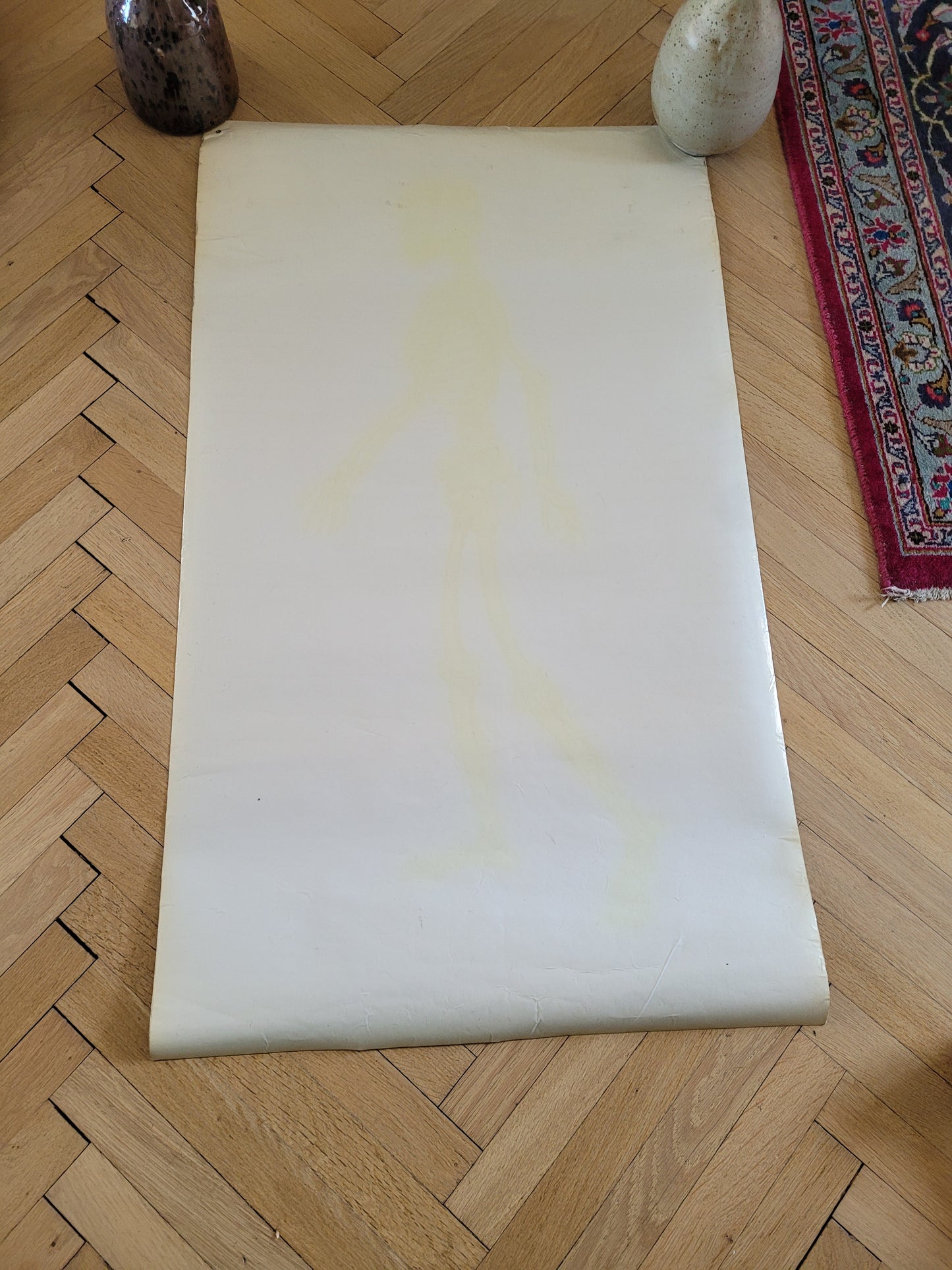 Affiche pédagogique plastifiée de squelette - Ref 882