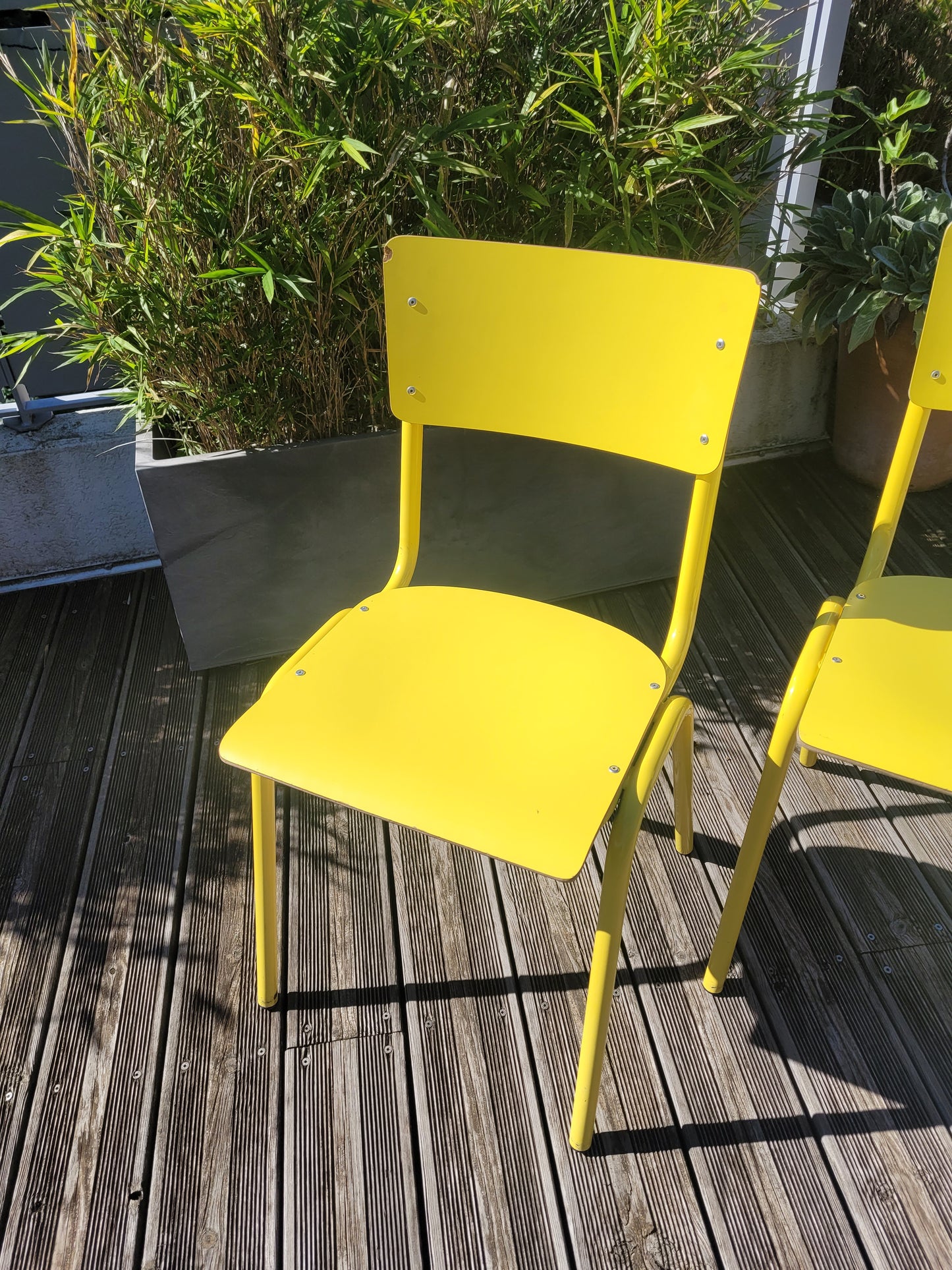 Paire de chaises jaunes en contre-plaqué- Ref 600