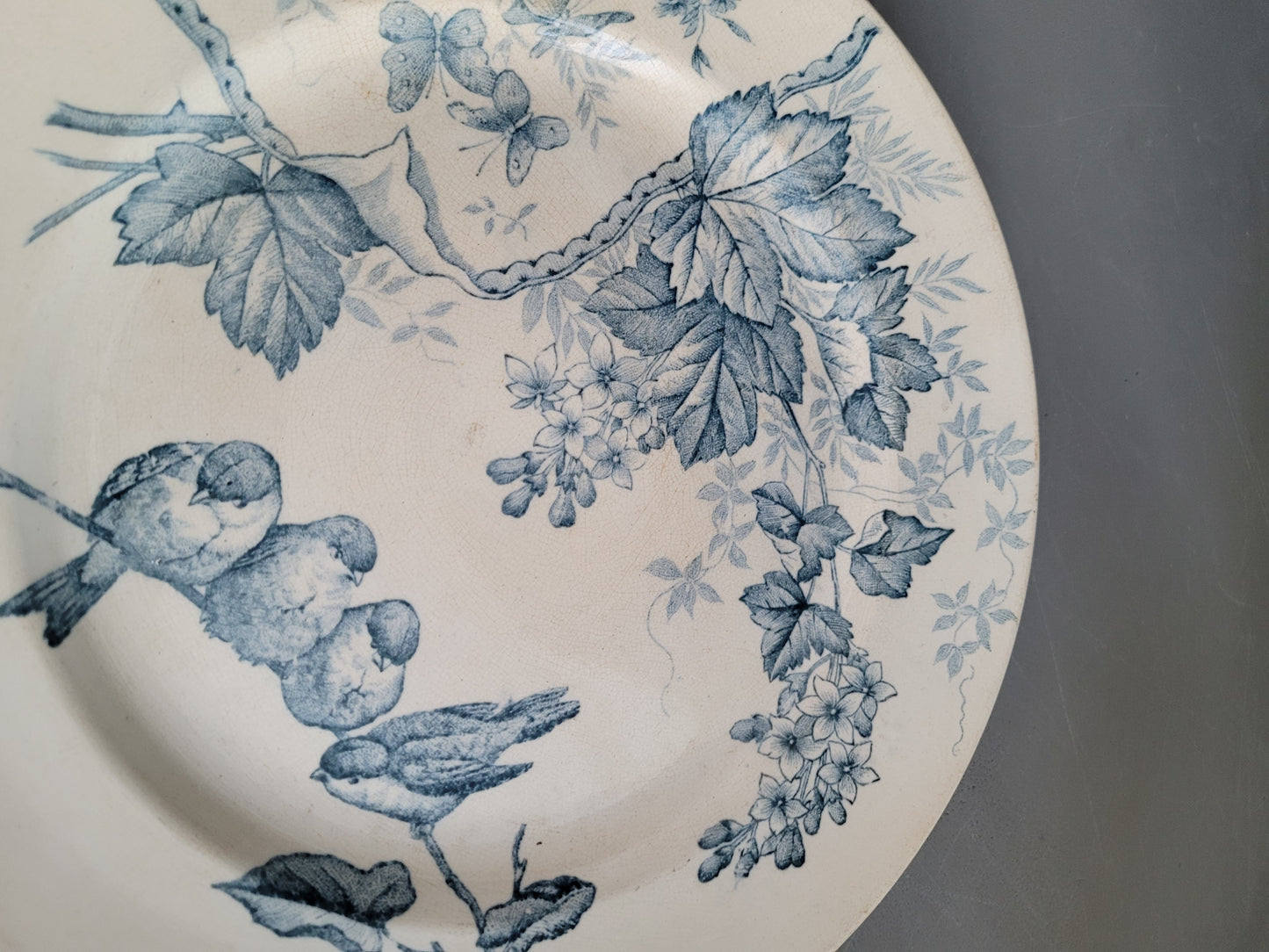 Paire d'assiettes Terre de Fer, modèle Oiseaux, Manufacture de Carouge - Ref 874