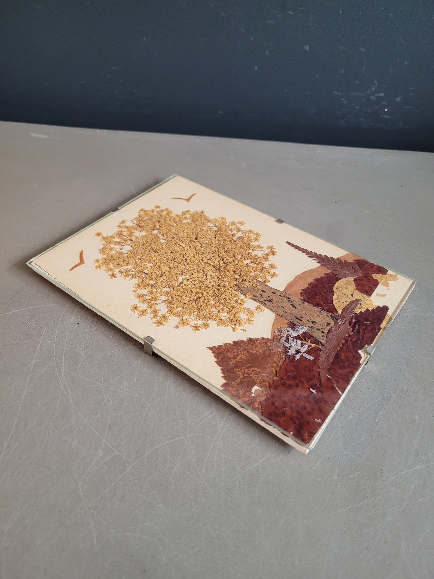 Composition florale sous verre, fleurs séchées - Ref 611