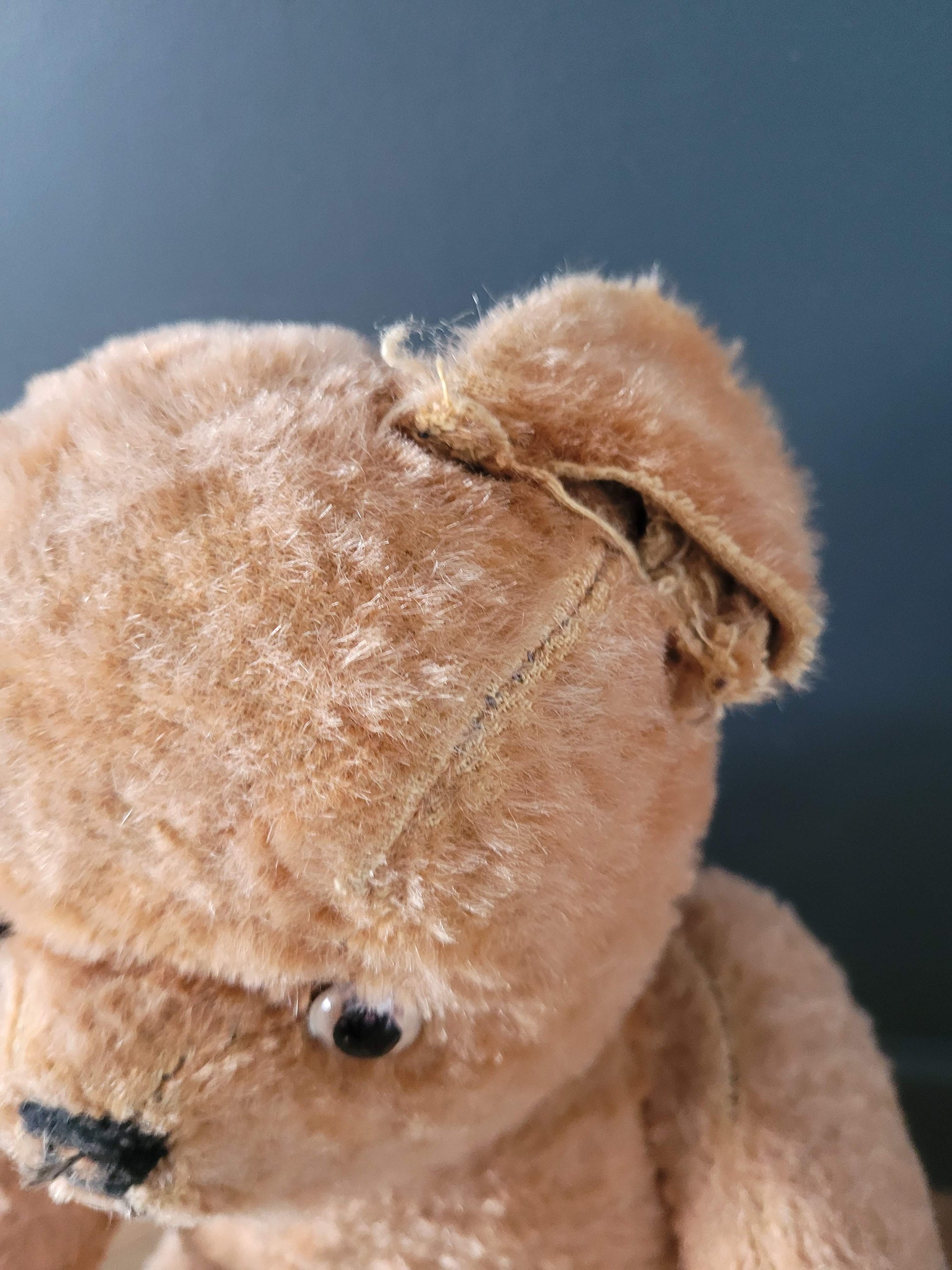 PELUCHE OURS TYCO Bubba Interactive Vintage EUR 18,00 - FR PELUCHE OURS TYCO Bubba Interactive Vintage EUR 18,00 - FR