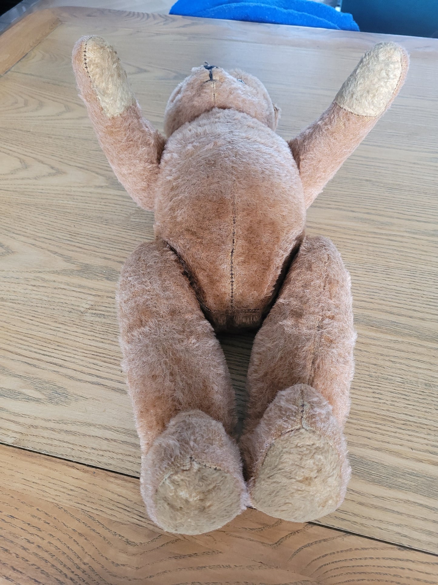 Authentique ours en peluche ancien - Nounours - ref 166