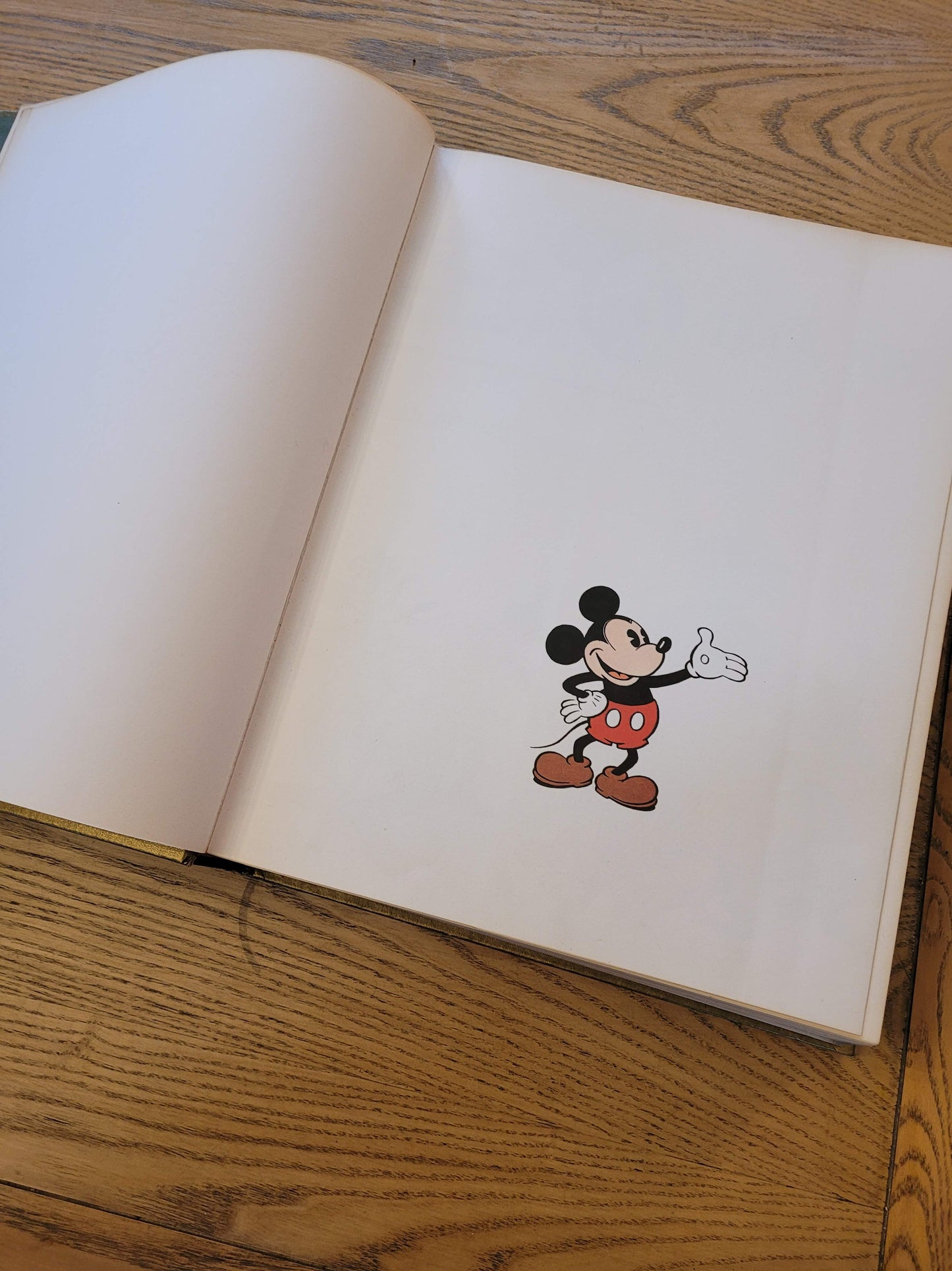 Notre Ami Walt Disney de Christopher Finch- Hachette 1978 - ref 215