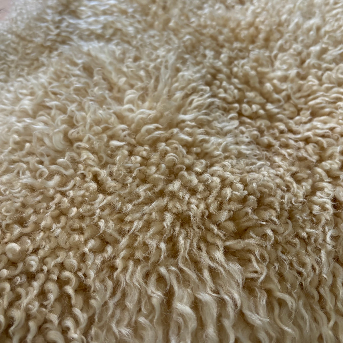 Peau de mouton véritable - Ref 1380