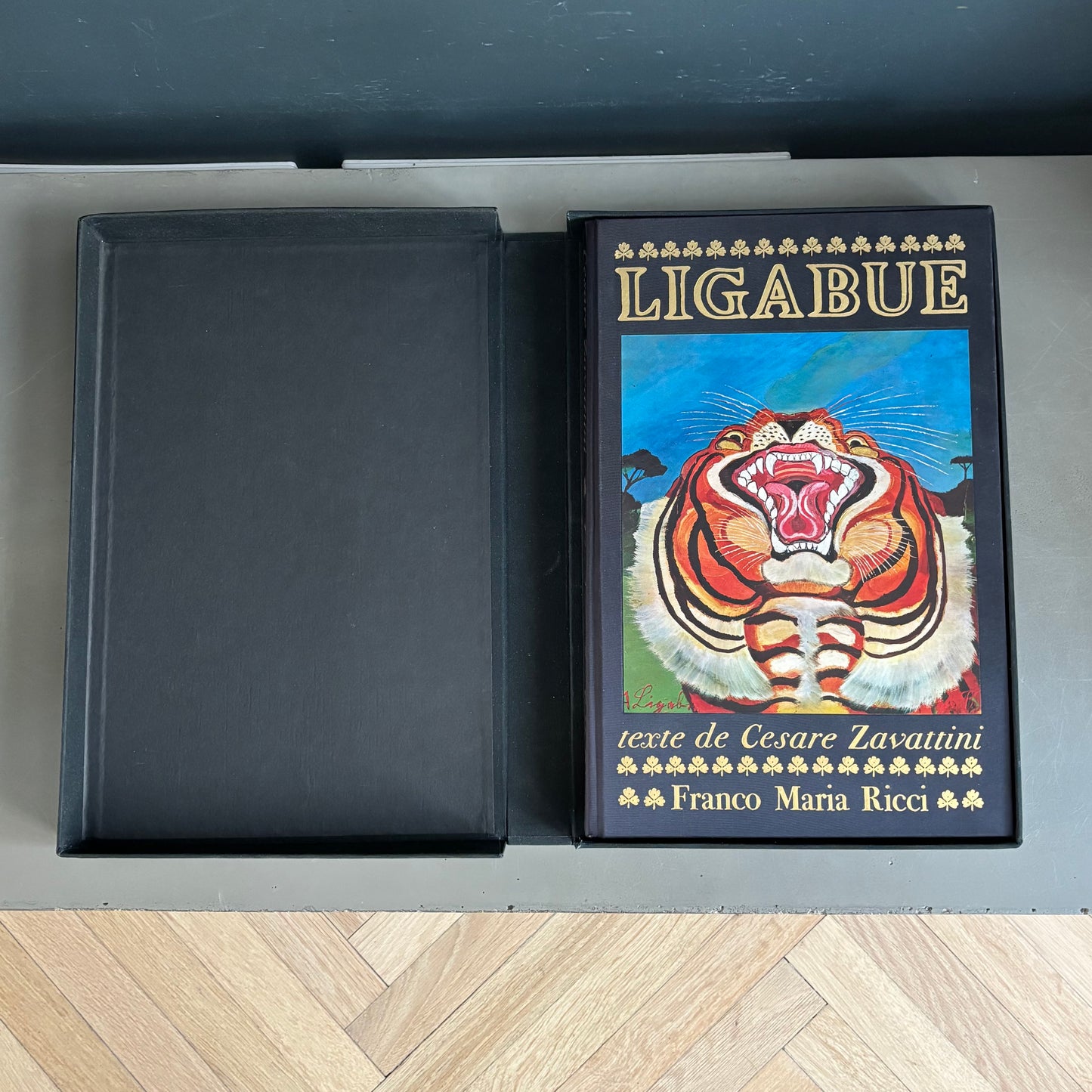 Livre d’art biographie de Ligabue dans son coffret - Ref 1332
