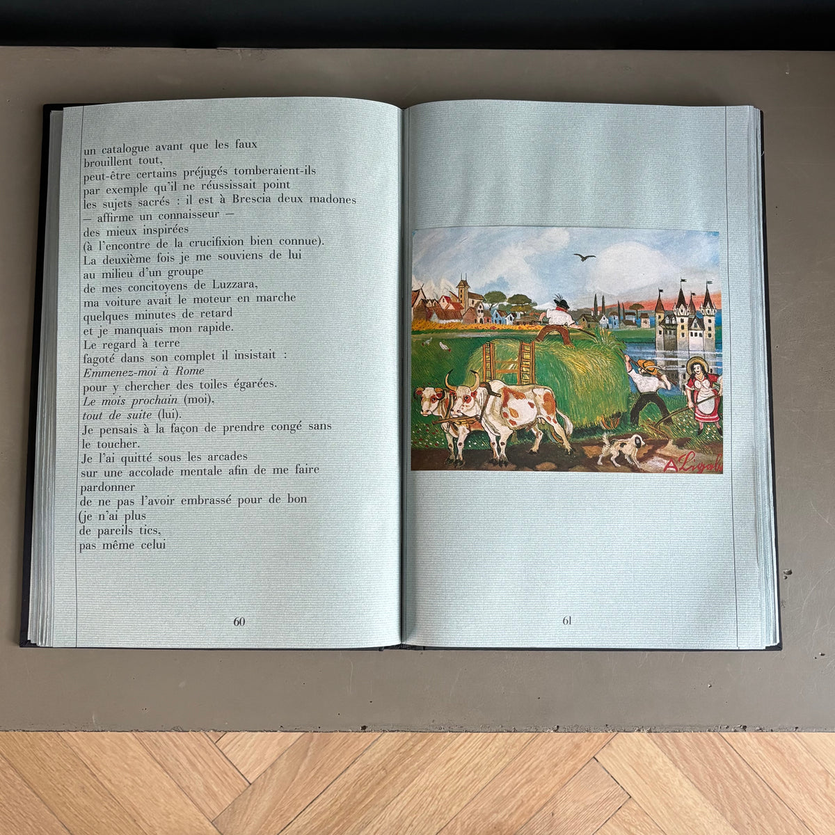 Livre d’art biographie de Ligabue dans son coffret - Ref 1332