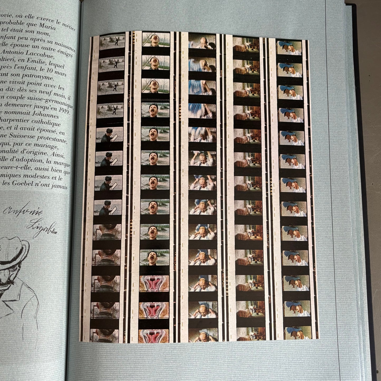 Livre d’art biographie de Ligabue dans son coffret - Ref 1332