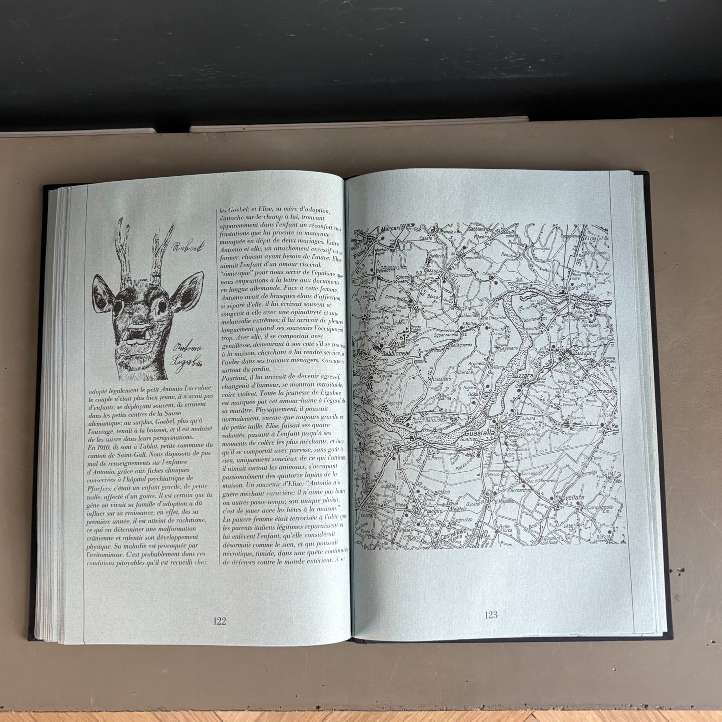 Livre d’art biographie de Ligabue dans son coffret - Ref 1332