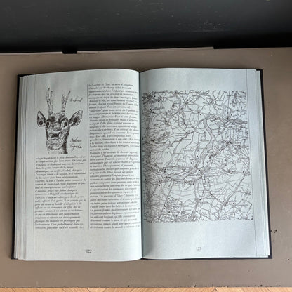 Livre d’art biographie de Ligabue dans son coffret - Ref 1332