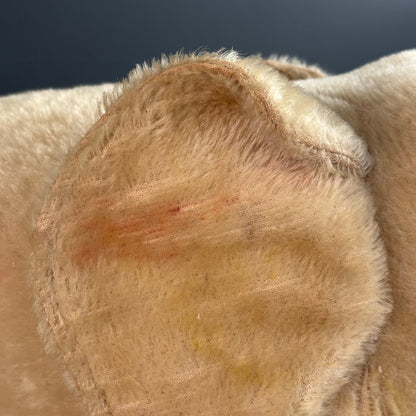 Peluche éléphant début XXème - Ref 1342