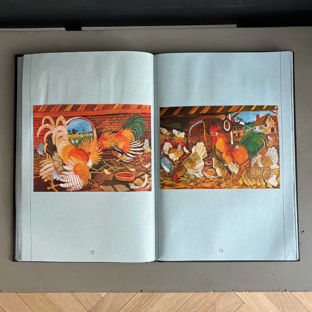 Livre d’art biographie de Ligabue dans son coffret - Ref 1332