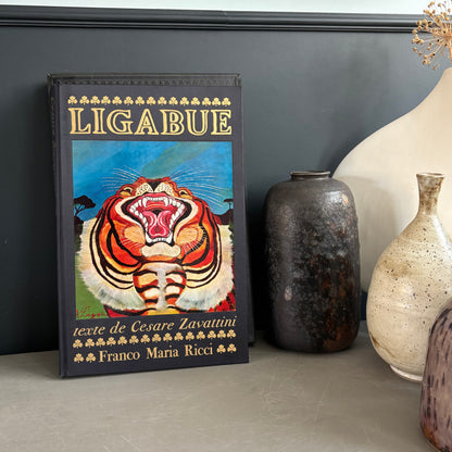 Livre d’art biographie de Ligabue dans son coffret - Ref 1332
