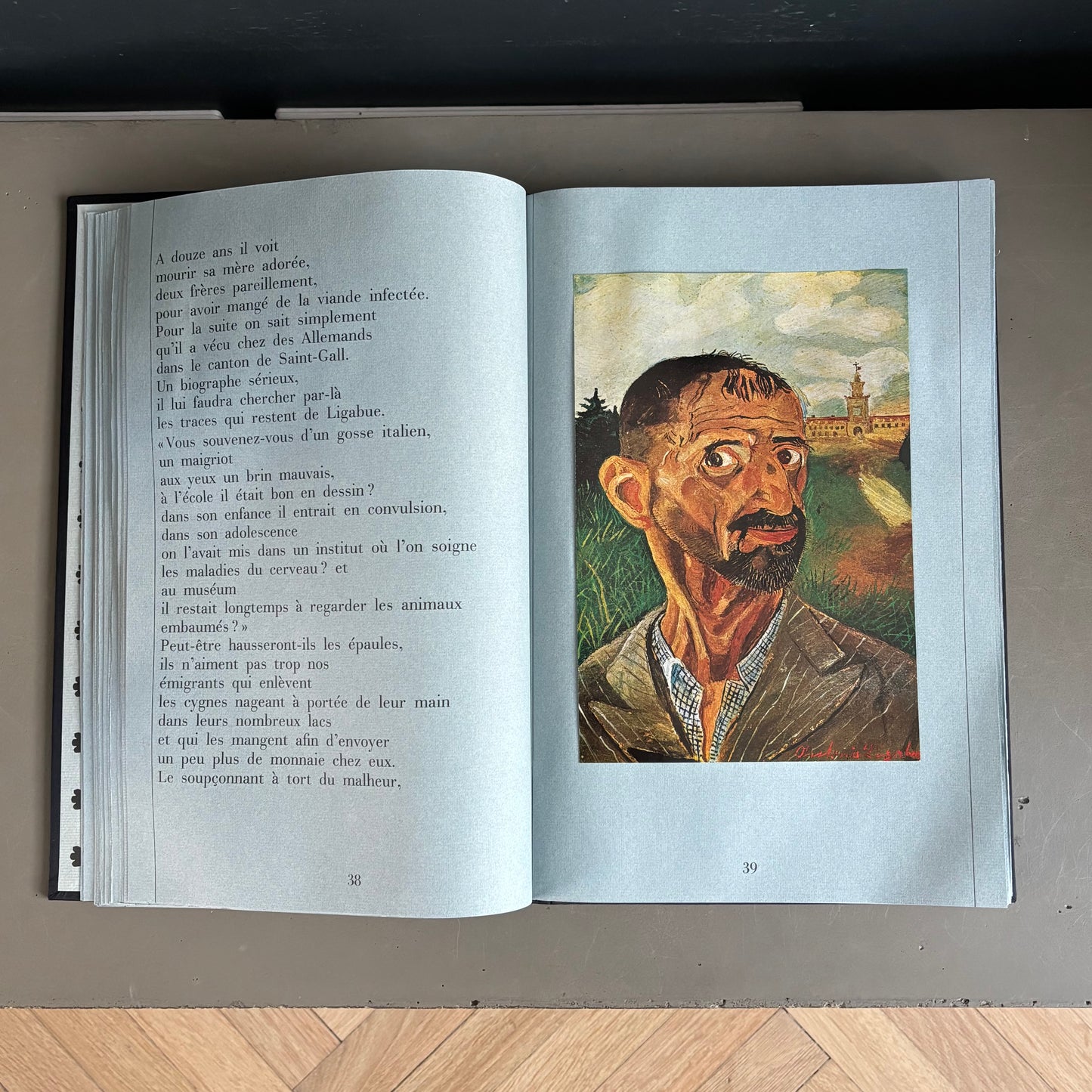 Livre d’art biographie de Ligabue dans son coffret - Ref 1332