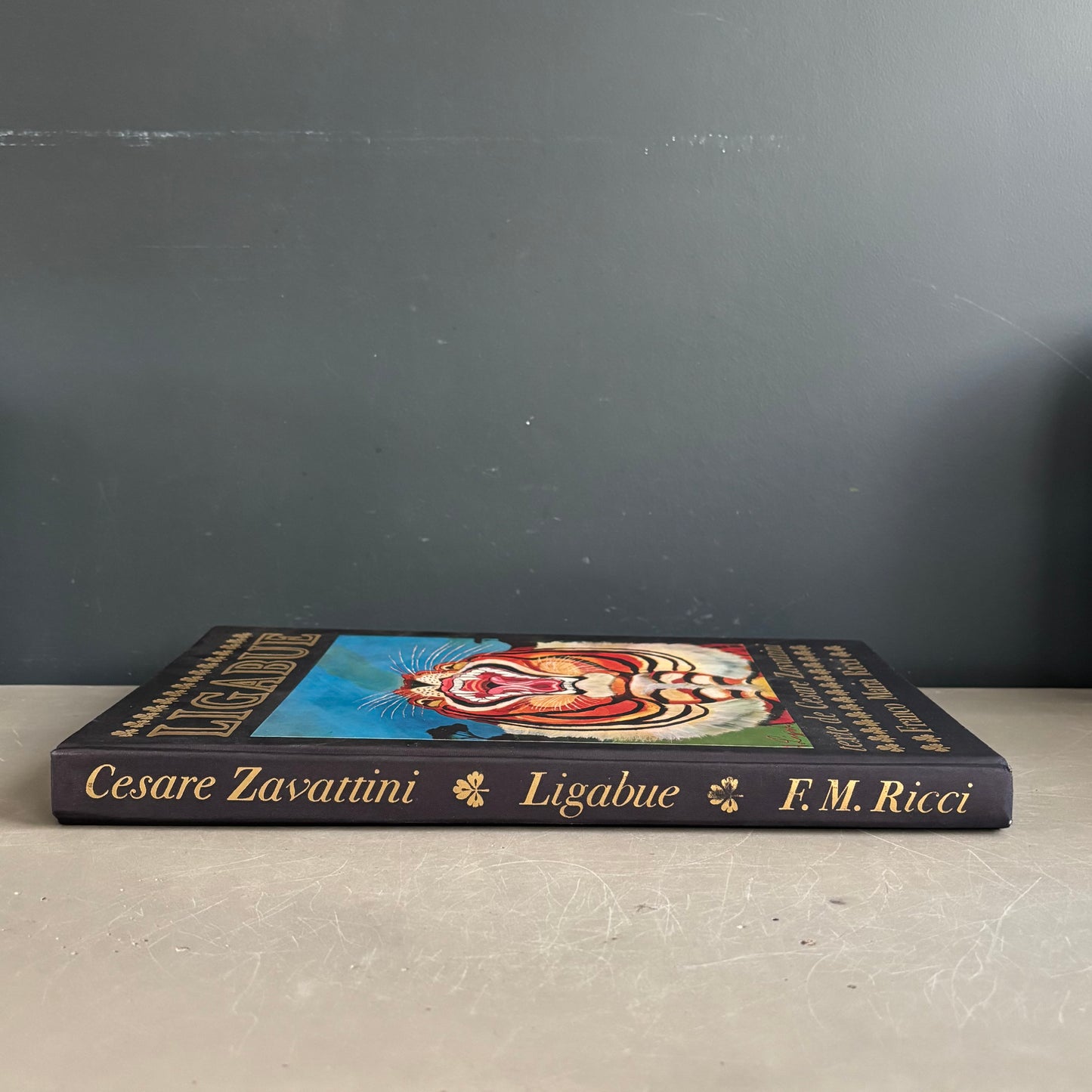 Livre d’art biographie de Ligabue dans son coffret - Ref 1332