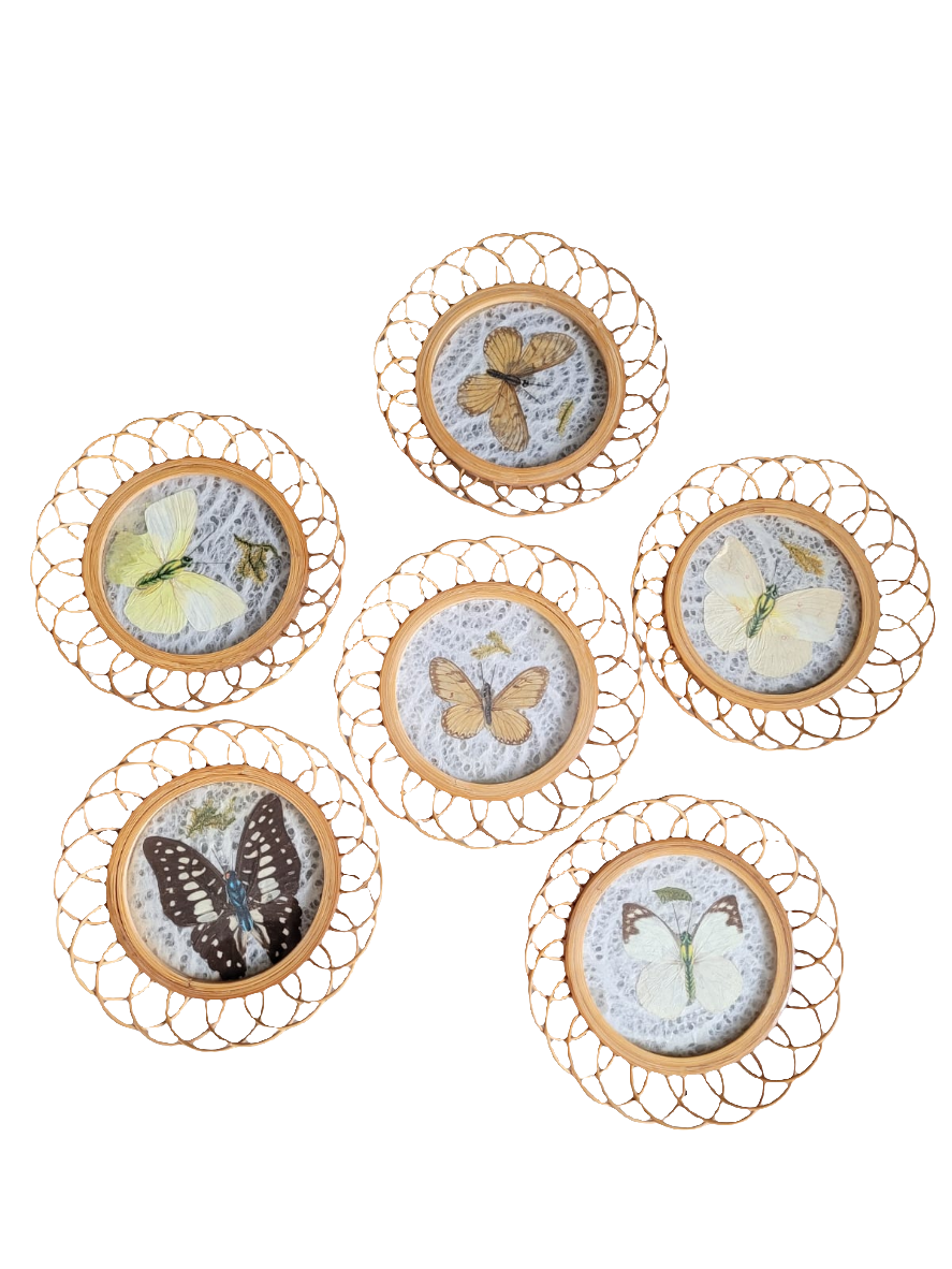 Set of 6 butterfly coasters