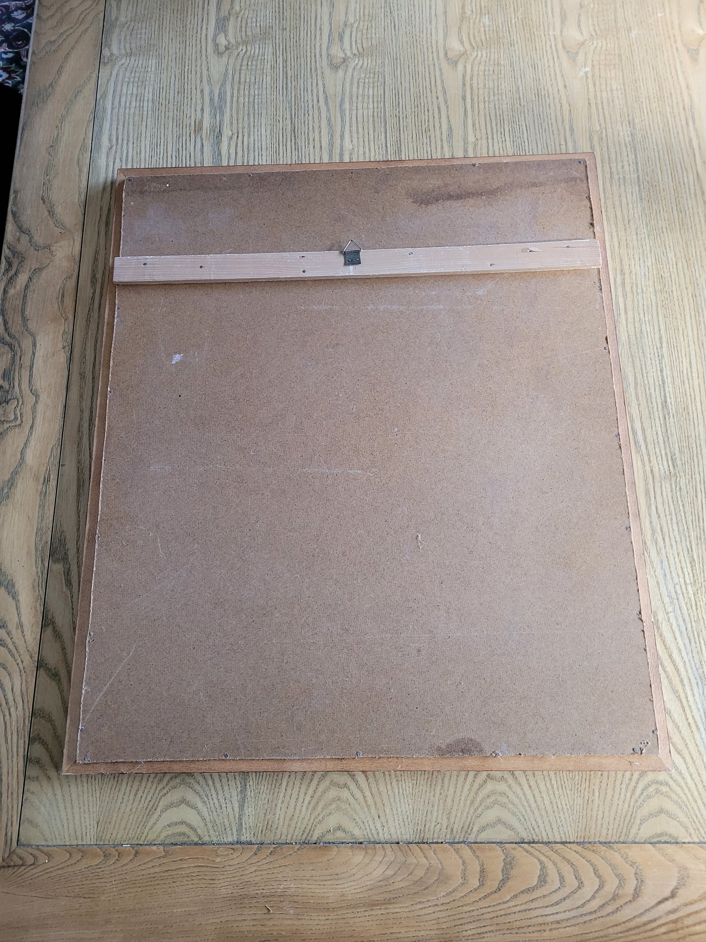 Tableau photo vintage Libellule - Ref 39