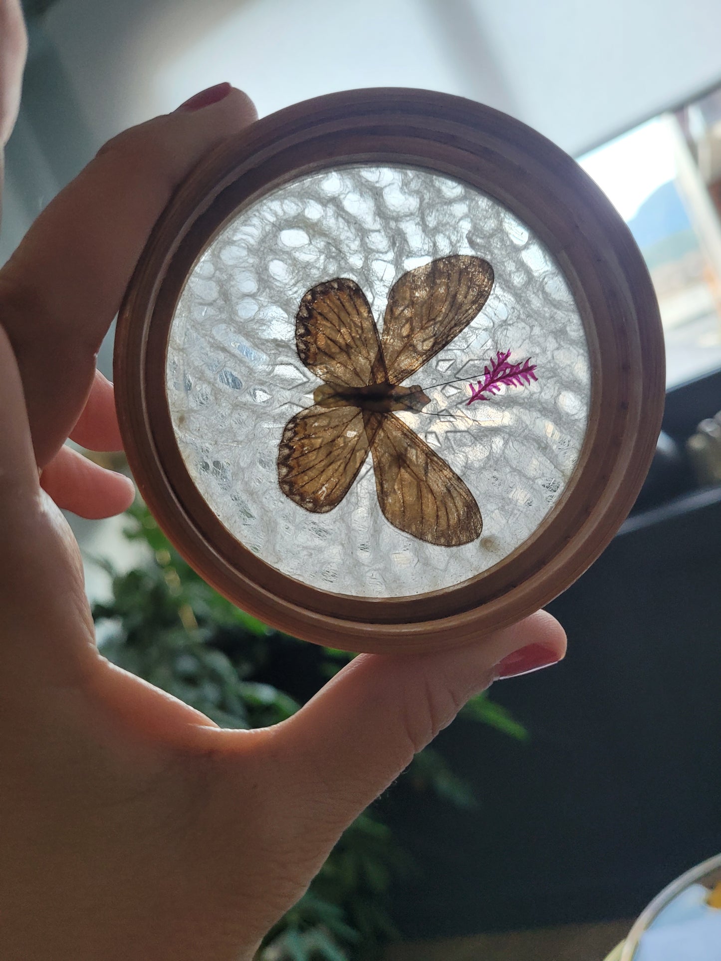 Plateau et 6 sous-verres papillons vintages en bambou - Ref 465