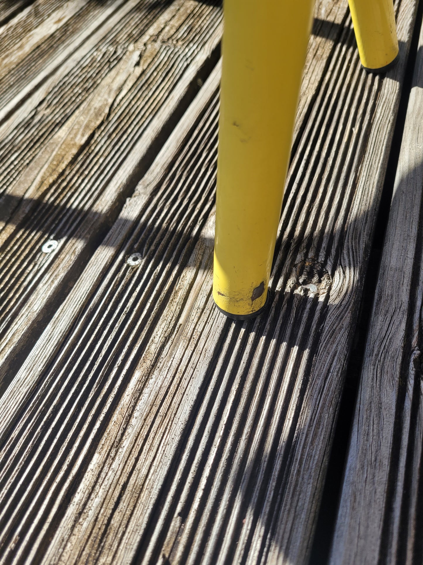 Paire de chaises jaunes en contre-plaqué- Ref 600