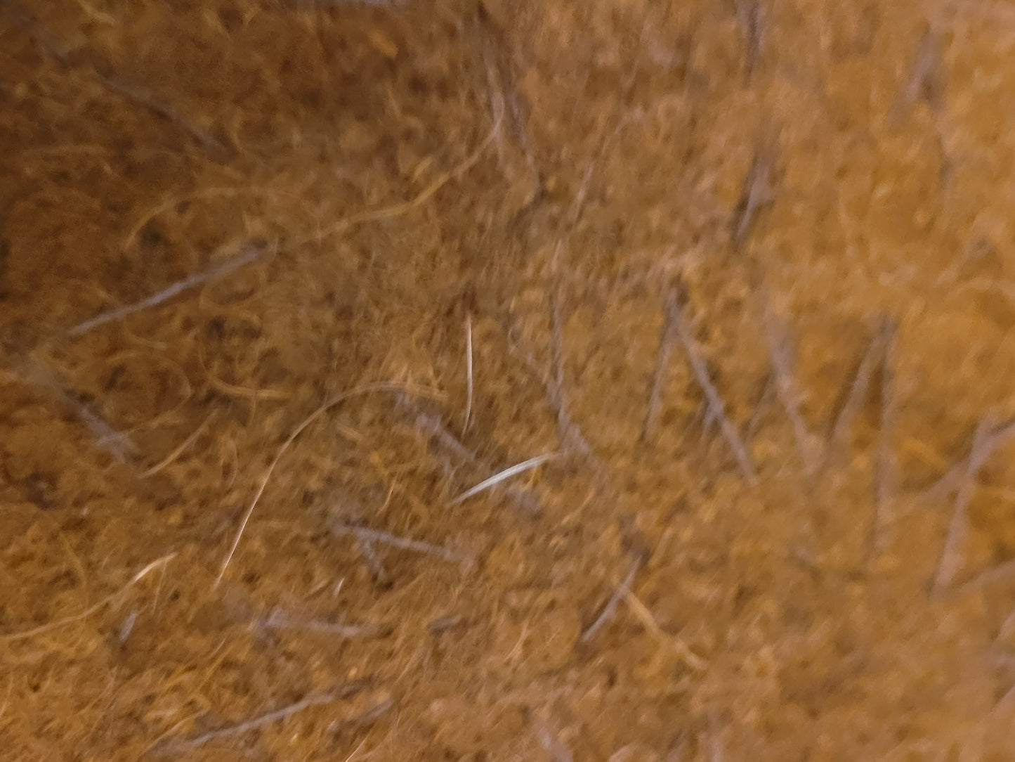 Tenture murale 70's en laine - Ref 591