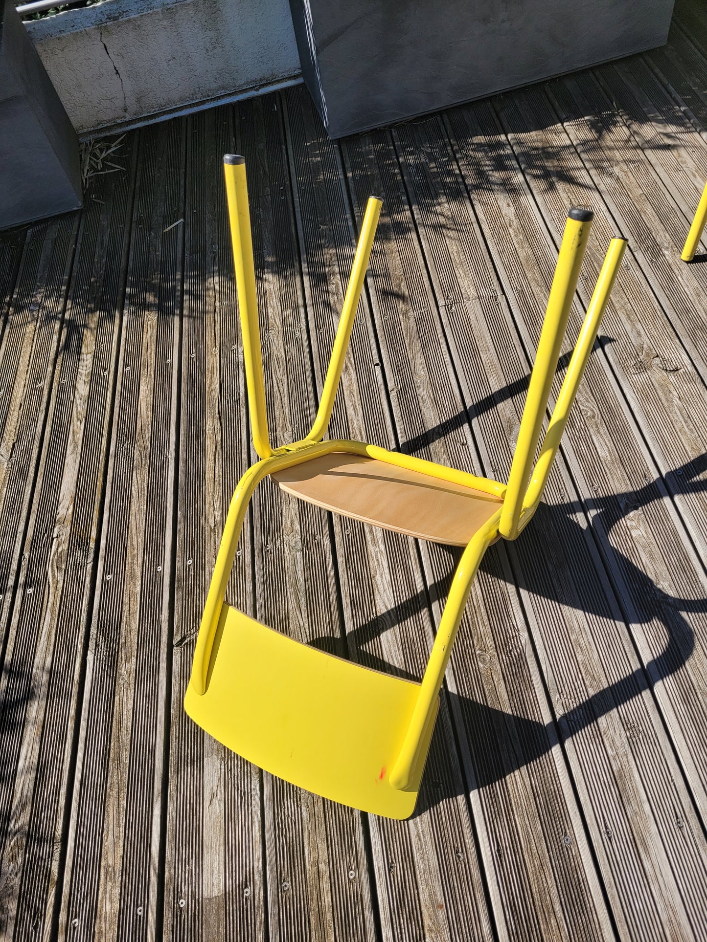 Paire de chaises jaunes en contre-plaqué- Ref 600