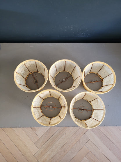 Lot de 5 abat-jour à pince en vessie de porc - Ref 848