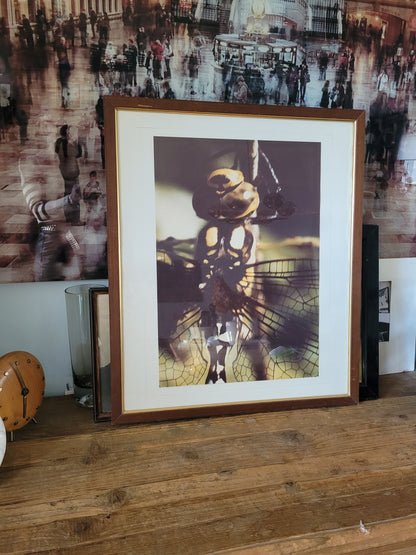 Tableau photo vintage Libellule - Ref 39