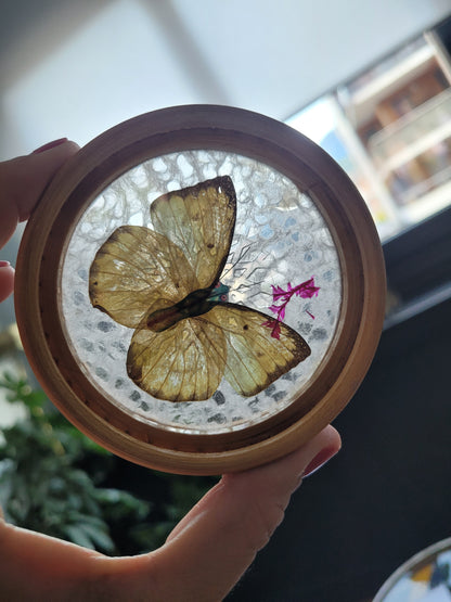 Plateau et 6 sous-verres papillons vintages en bambou - Ref 465