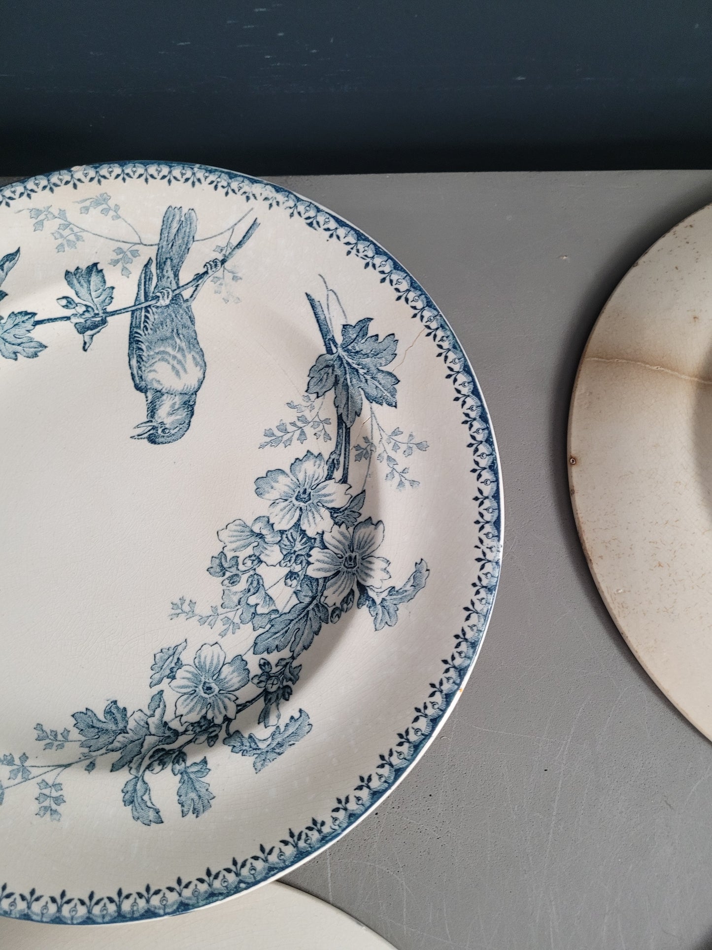 Longwy - 4 assiettes collection Mésange- Ref 545