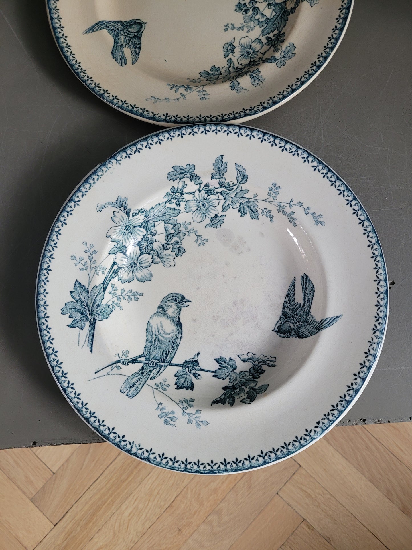 Longwy - 4 assiettes collection Mésange- Ref 545