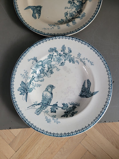 Longwy - 4 assiettes collection Mésange- Ref 545