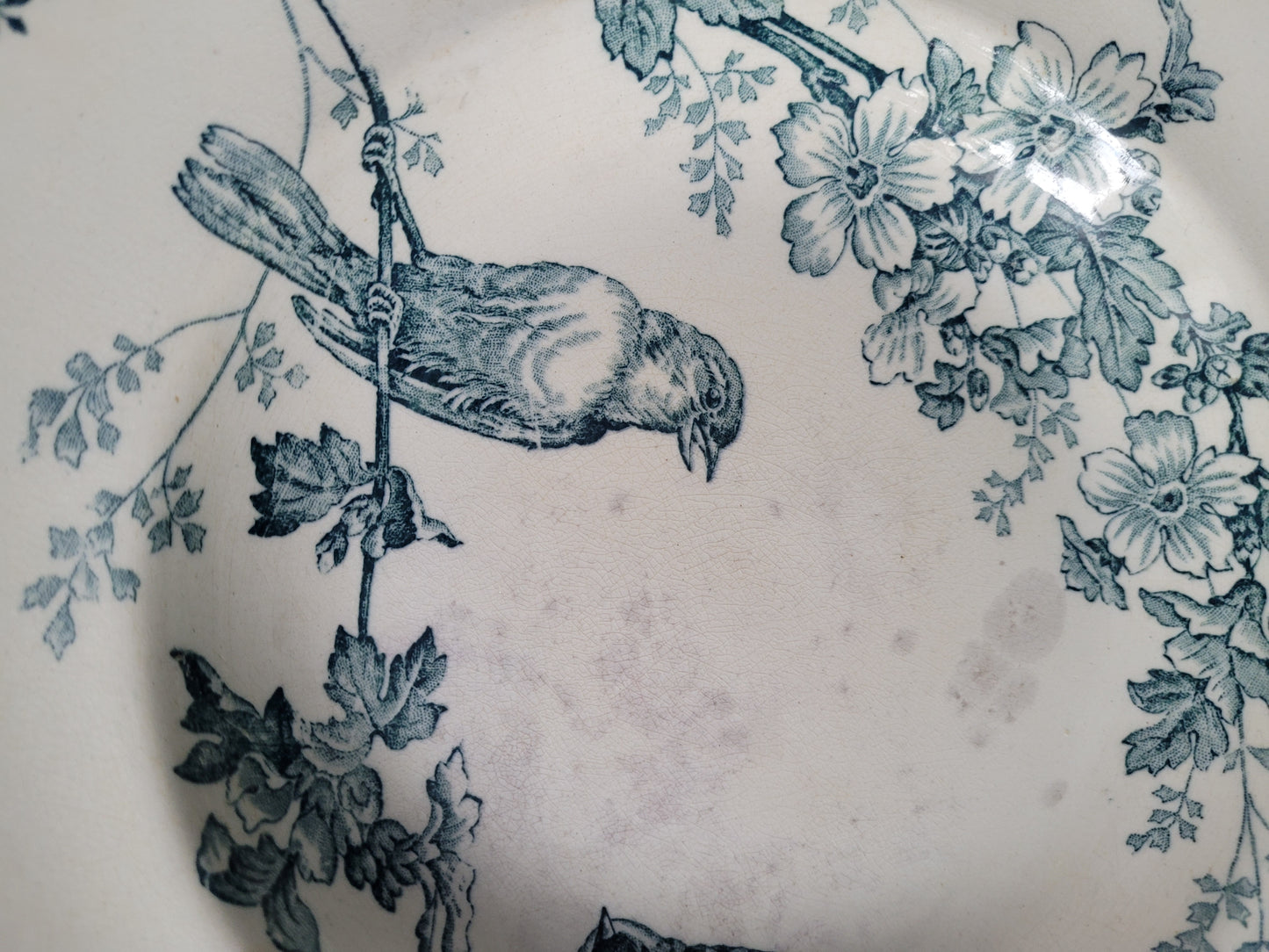 Longwy - 4 assiettes collection Mésange- Ref 545