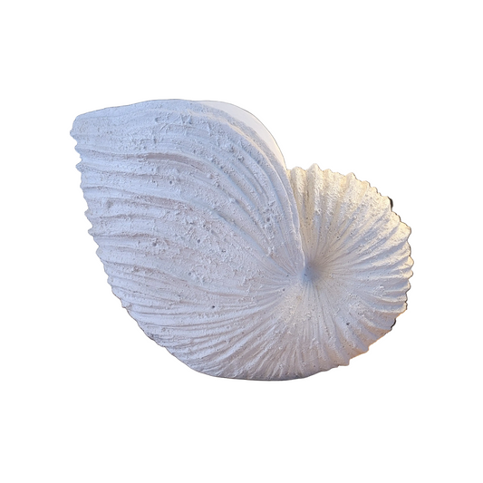 Grand coquillage décoratif en résine - Sculpture - Ref 840