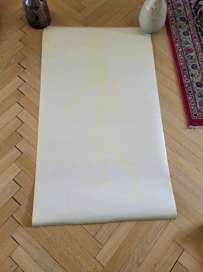 Affiche pédagogique plastifiée de squelette - Ref 882