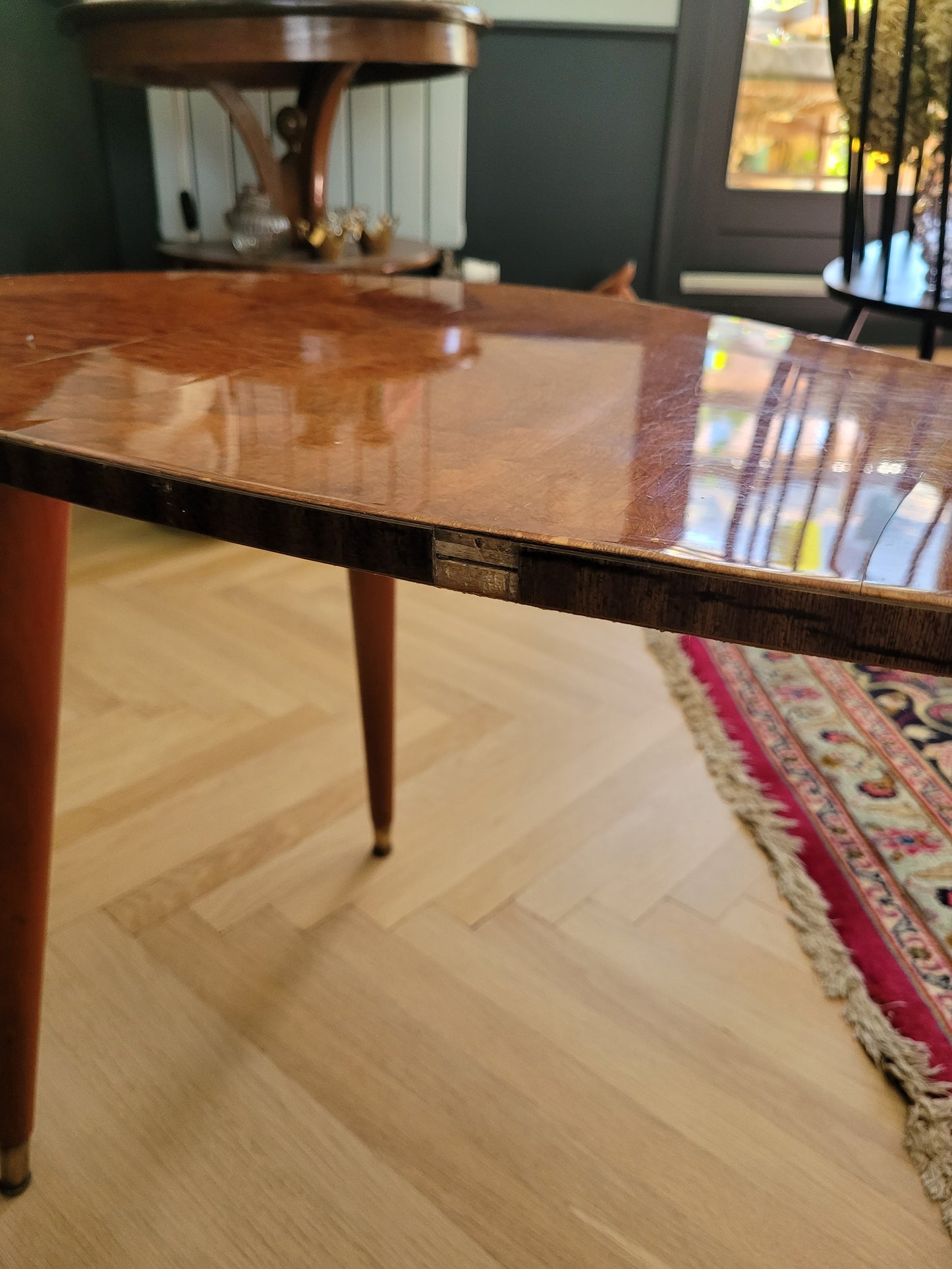 Table basse haricot années 50 en loupe d'orme - Ref 637