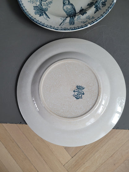 Longwy - 4 assiettes collection Mésange- Ref 545