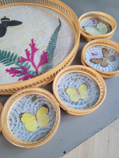Plateau et 6 sous-verres papillons vintages en bambou - Ref 465