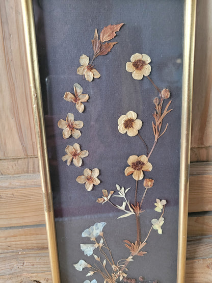 Tableau vintage composition fleurs séchées- Ref 466