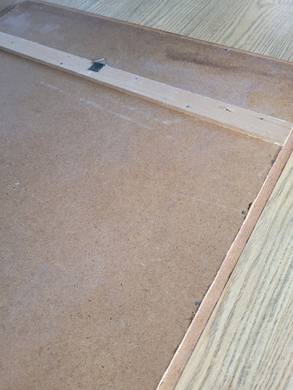 Tableau photo vintage Libellule - Ref 39