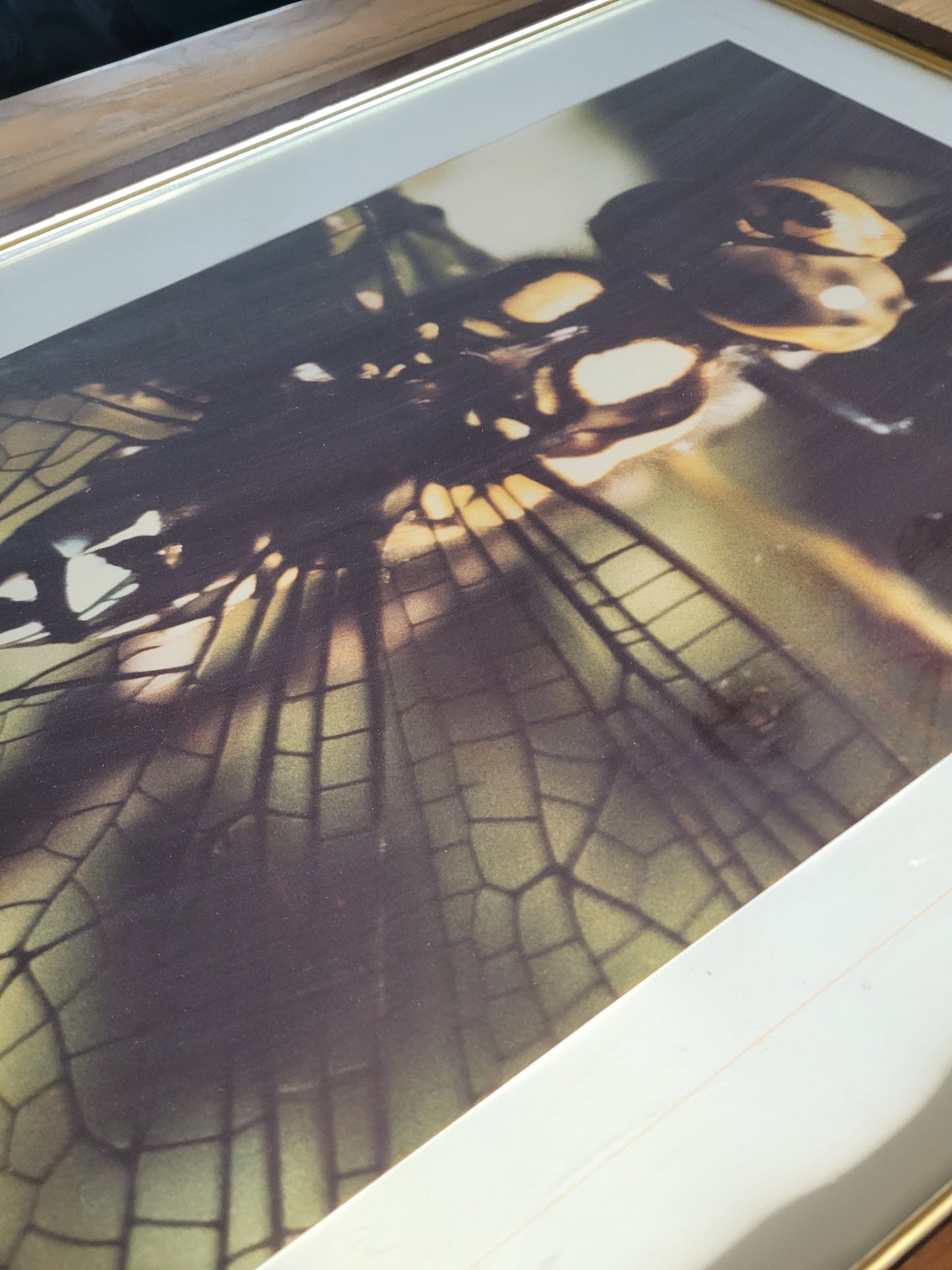 Tableau photo vintage Libellule - Ref 39