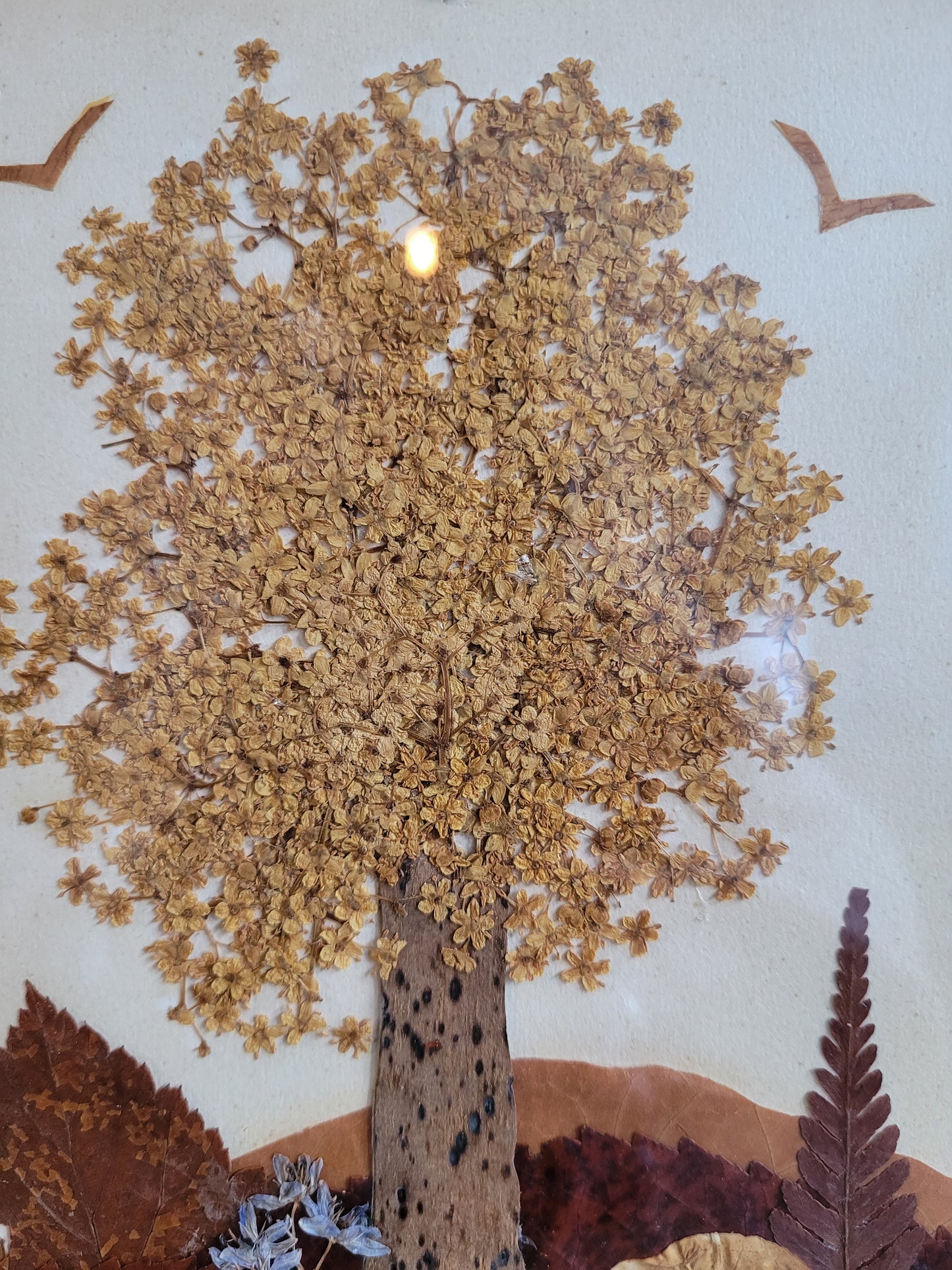 Composition florale sous verre, fleurs séchées - Ref 611