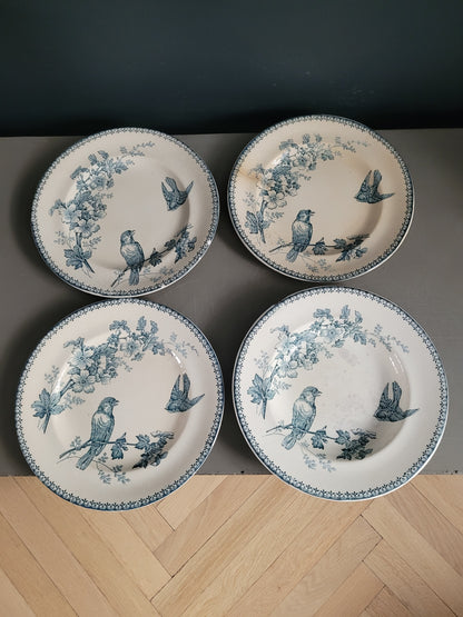 Longwy - 4 assiettes collection Mésange- Ref 545