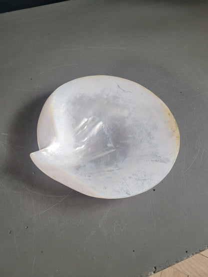 Vide-poche coquillage- Ref 843