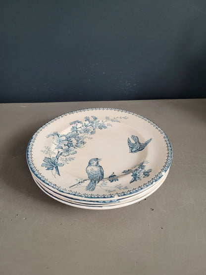 Longwy - 4 assiettes collection Mésange- Ref 545