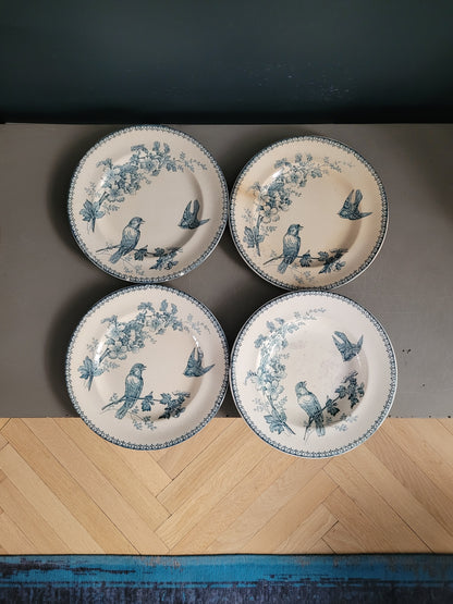 Longwy - 4 assiettes collection Mésange- Ref 545