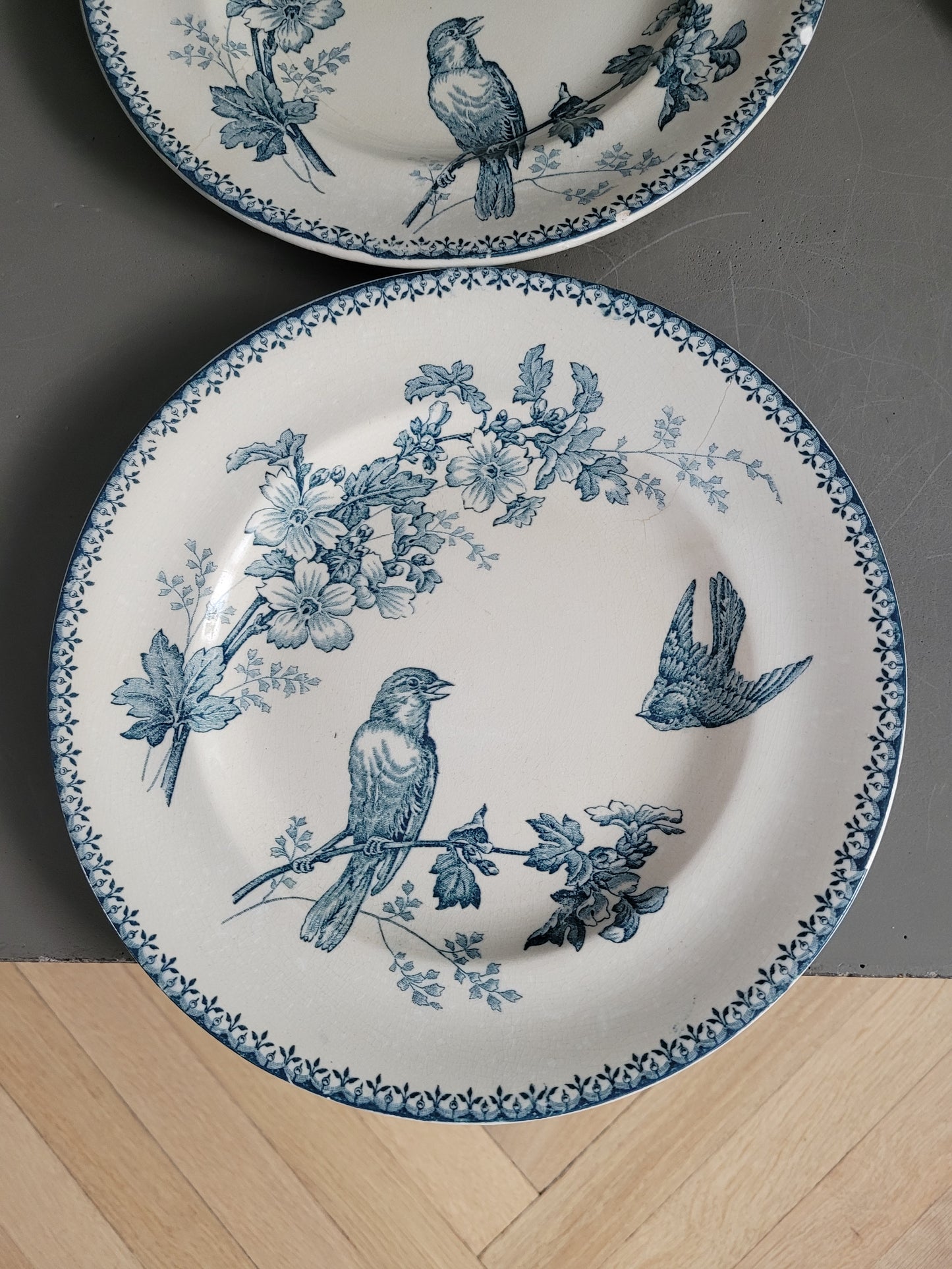 Longwy - 4 assiettes collection Mésange- Ref 545